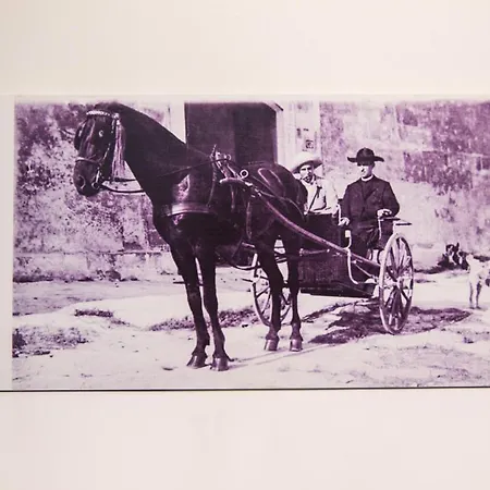 Il Cocchiere Palagianello